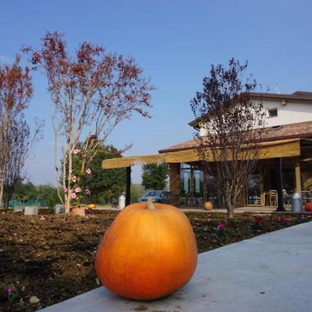 Agriturismo Campogrande Carpaneto Piacentino Exterior photo